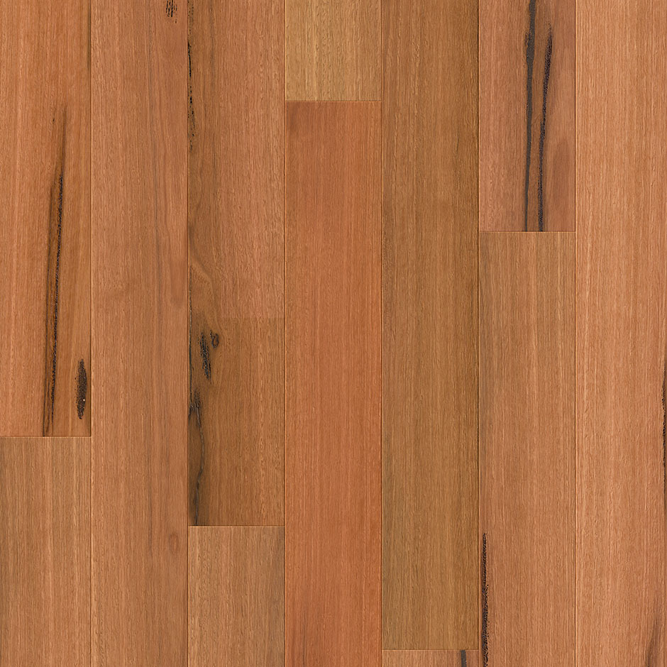 Compact Spotted Gum 1 Strip